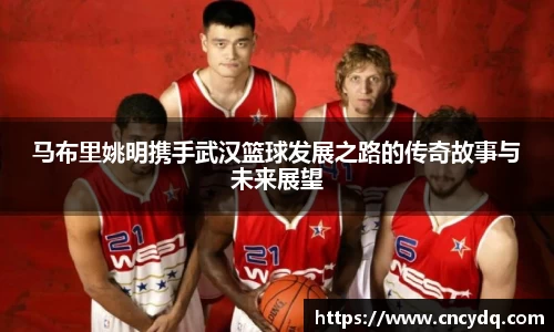 球速体育平台入口