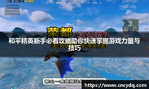 球速体育welcome