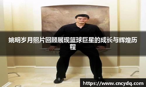 球速体育