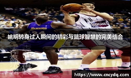 球速体育平台入口