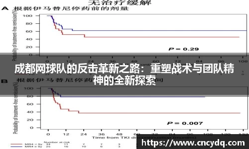 球速体育welcome