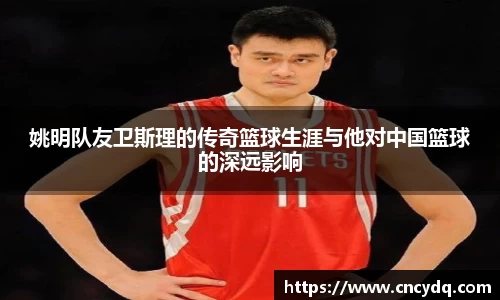 球速体育