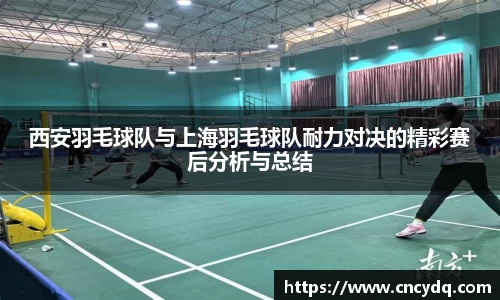 球速体育