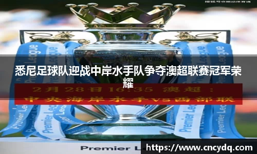 悉尼足球队迎战中岸水手队争夺澳超联赛冠军荣耀