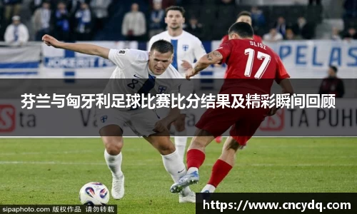 芬兰与匈牙利足球比赛比分结果及精彩瞬间回顾