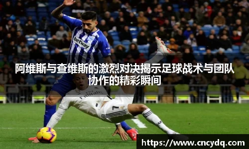 球速体育