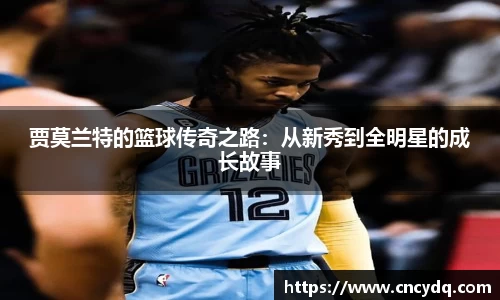 球速体育