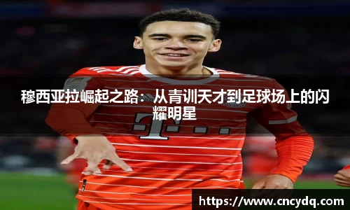welcome球速体育