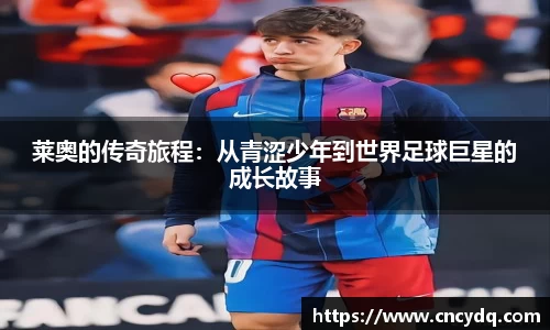 球速体育平台入口