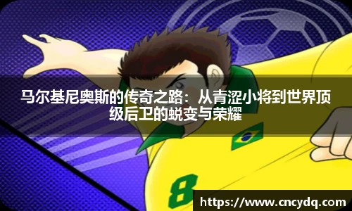 球速体育welcome