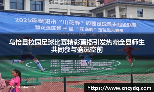 球速体育平台入口