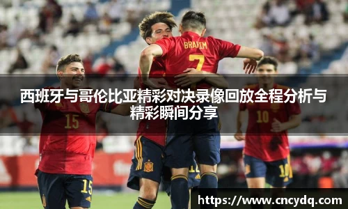 球速体育平台入口